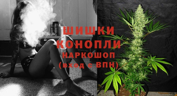спиды Касимов