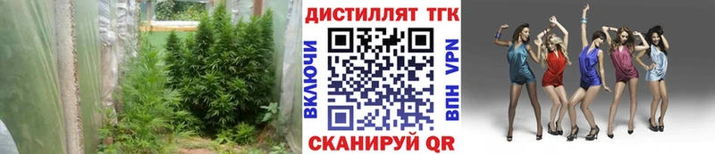 Дистиллят ТГК гашишное масло Купить Артёмовский