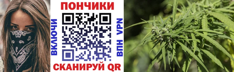 Бошки марихуана план  Купить закладки  Артёмовский 